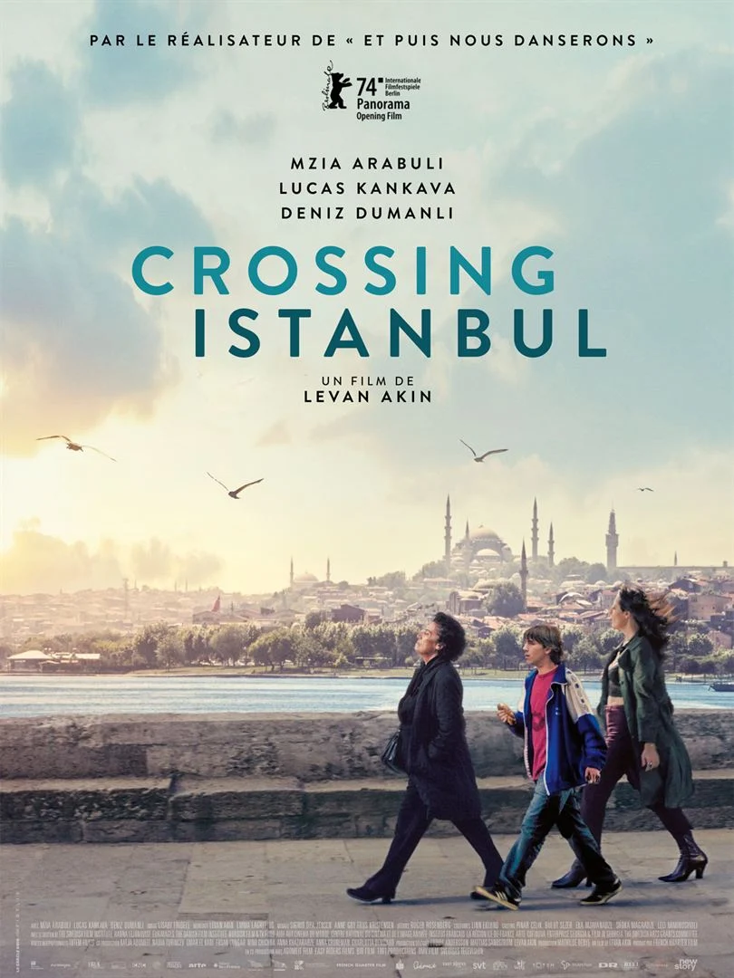 crossing istanbul